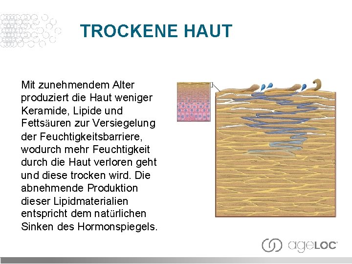 TROCKENE HAUT Mit zunehmendem Alter produziert die Haut weniger Keramide, Lipide und Fettsäuren zur