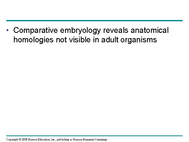  • Comparative embryology reveals anatomical homologies not visible in adult organisms Copyright ©