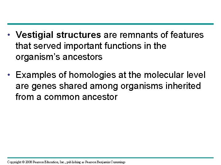  • Vestigial structures are remnants of features that served important functions in the