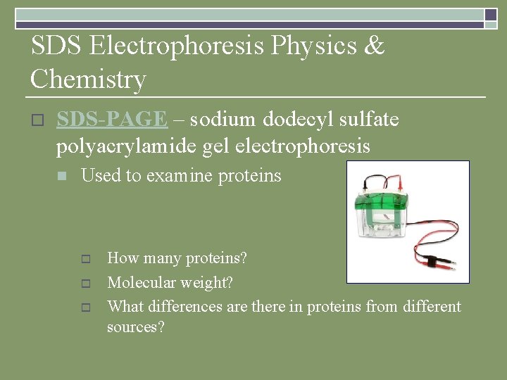 SDS Electrophoresis Physics & Chemistry o SDS-PAGE – sodium dodecyl sulfate polyacrylamide gel electrophoresis