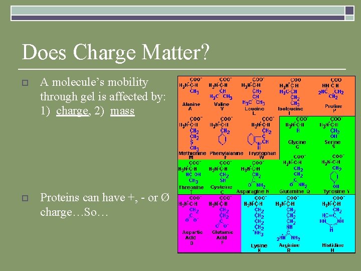 Does Charge Matter? o A molecule’s mobility through gel is affected by: 1) charge,