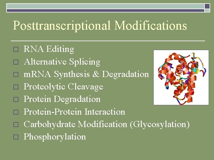 Posttranscriptional Modifications o o o o RNA Editing Alternative Splicing m. RNA Synthesis &