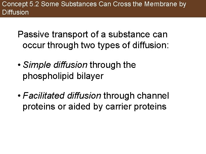 Concept 5. 2 Some Substances Can Cross the Membrane by Diffusion Passive transport of