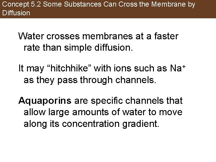 Concept 5. 2 Some Substances Can Cross the Membrane by Diffusion Water crosses membranes