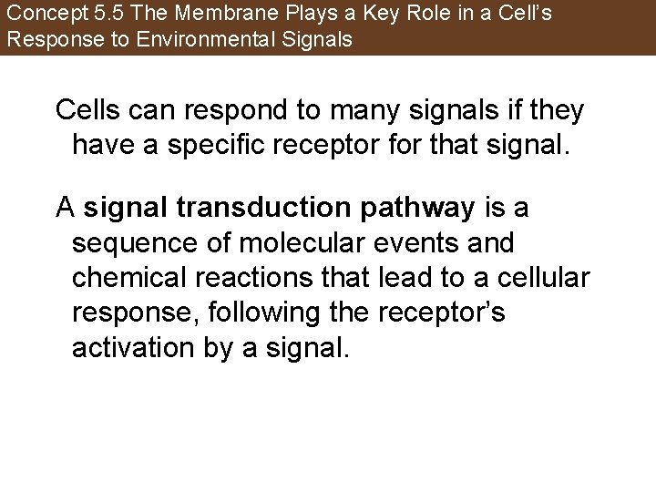 Concept 5. 5 The Membrane Plays a Key Role in a Cell’s Response to