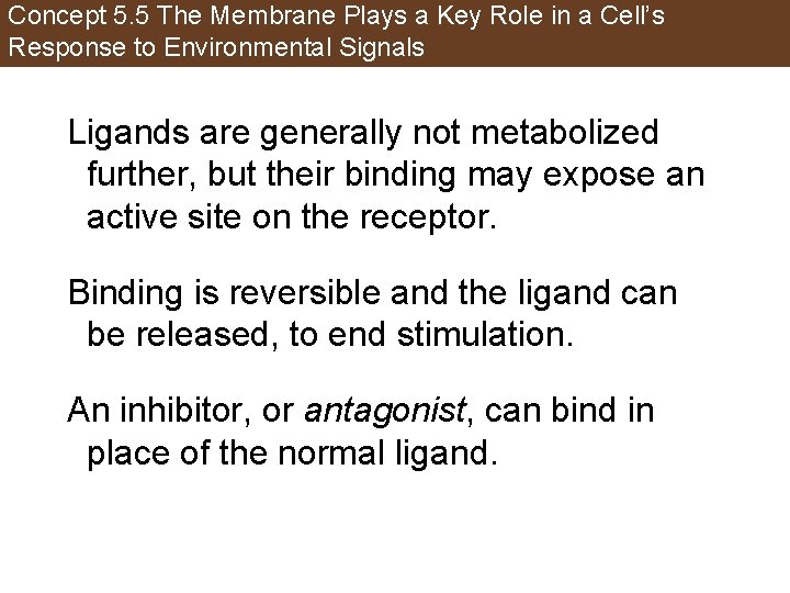 Concept 5. 5 The Membrane Plays a Key Role in a Cell’s Response to