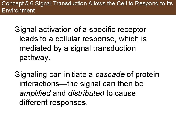Concept 5. 6 Signal Transduction Allows the Cell to Respond to Its Environment Signal