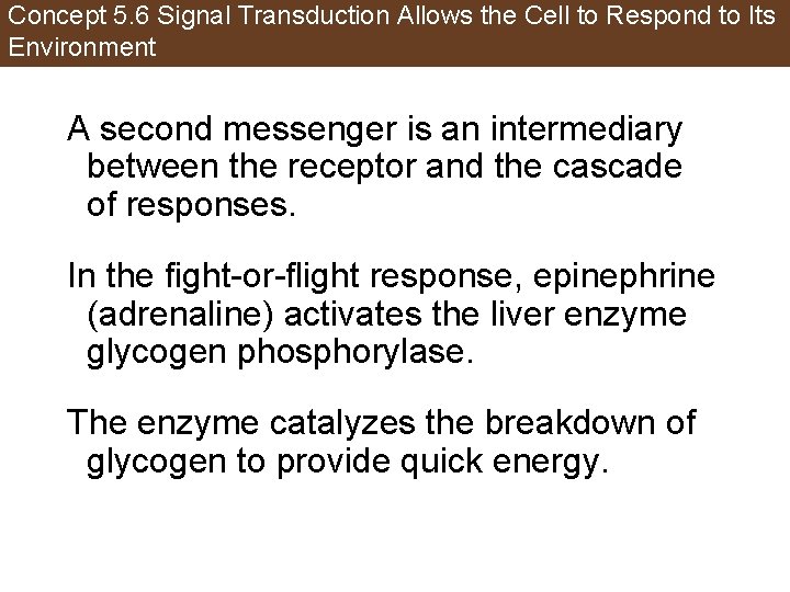 Concept 5. 6 Signal Transduction Allows the Cell to Respond to Its Environment A