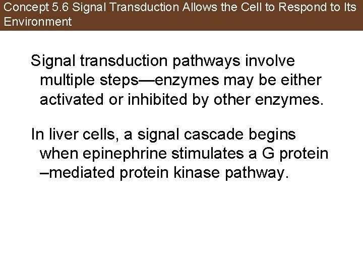 Concept 5. 6 Signal Transduction Allows the Cell to Respond to Its Environment Signal