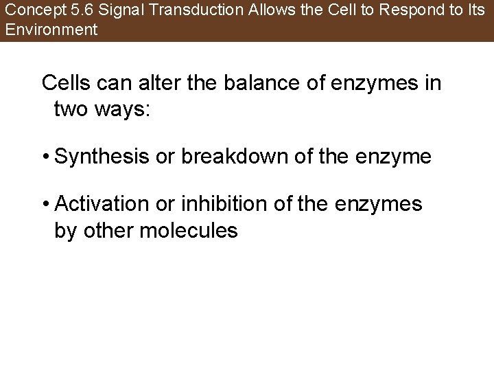 Concept 5. 6 Signal Transduction Allows the Cell to Respond to Its Environment Cells