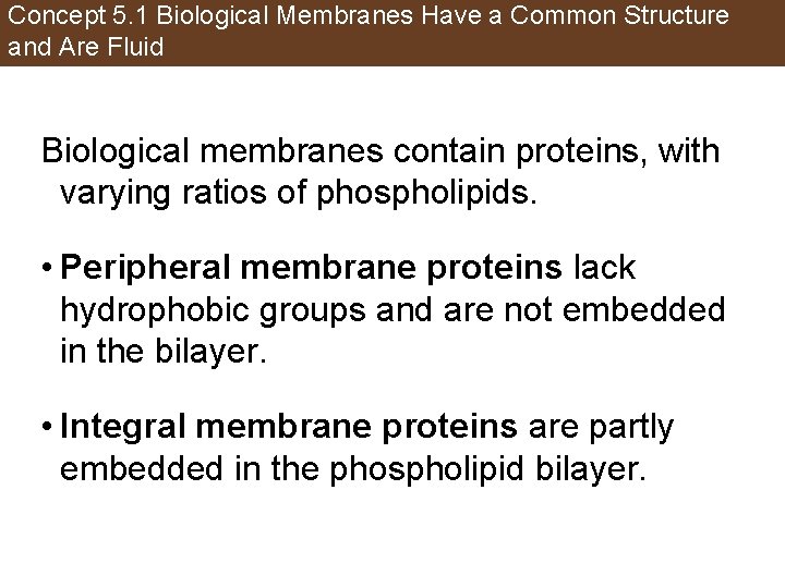 Concept 5. 1 Biological Membranes Have a Common Structure and Are Fluid Biological membranes