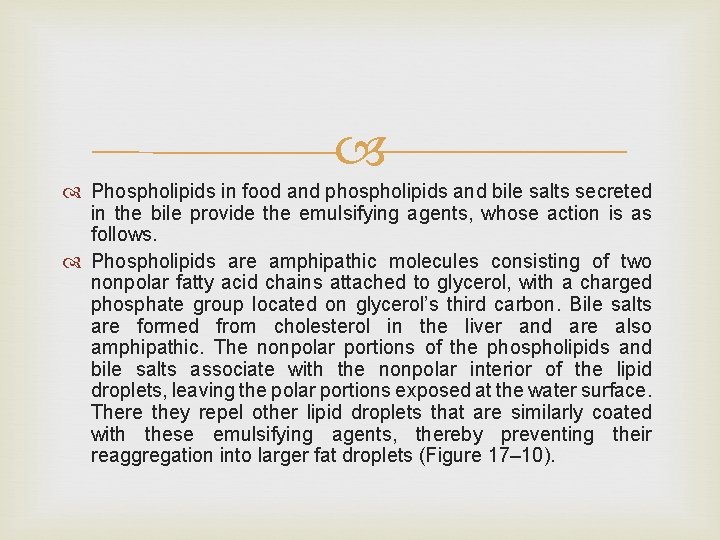  Phospholipids in food and phospholipids and bile salts secreted in the bile provide