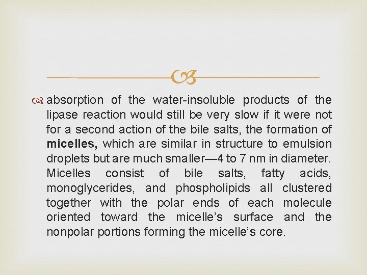  absorption of the water-insoluble products of the lipase reaction would still be very