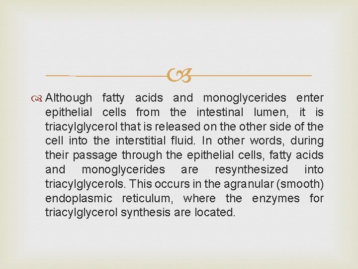  Although fatty acids and monoglycerides enter epithelial cells from the intestinal lumen, it