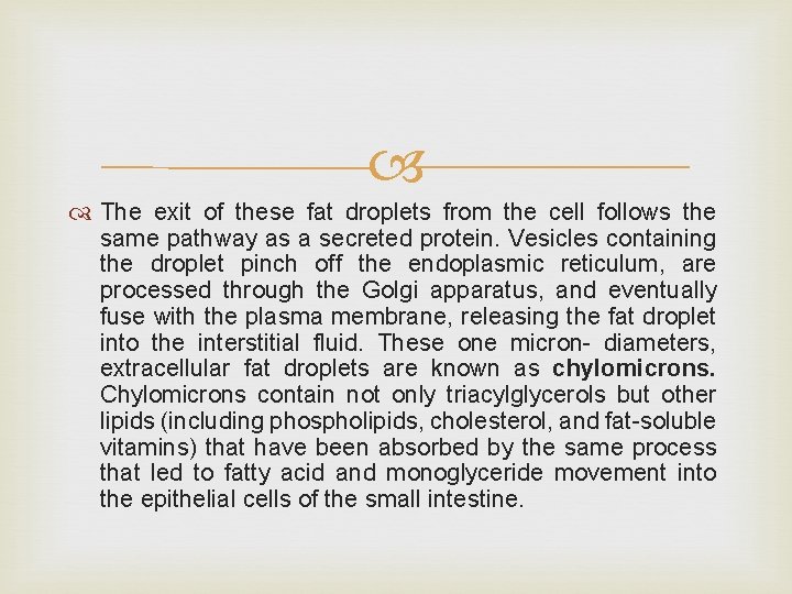  The exit of these fat droplets from the cell follows the same pathway