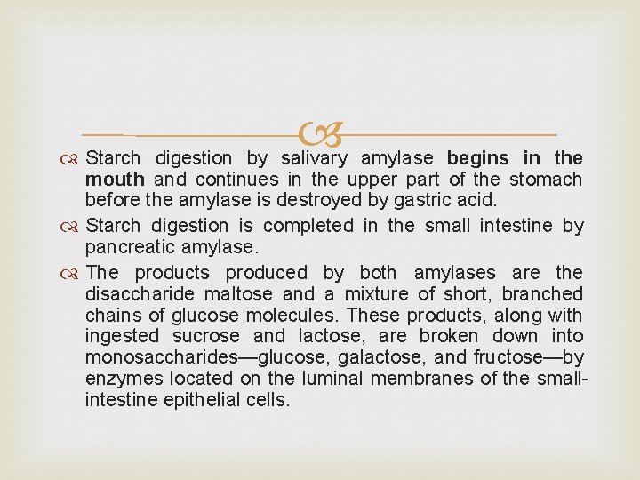  Starch digestion by salivary amylase begins in the mouth and continues in the