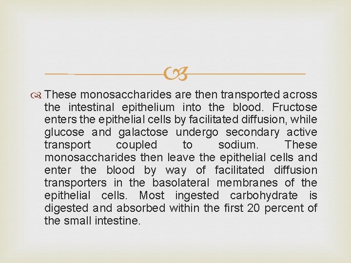 These monosaccharides are then transported across the intestinal epithelium into the blood. Fructose