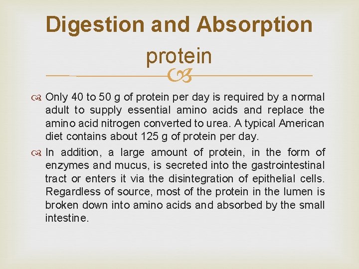 Digestion and Absorption protein Only 40 to 50 g of protein per day is