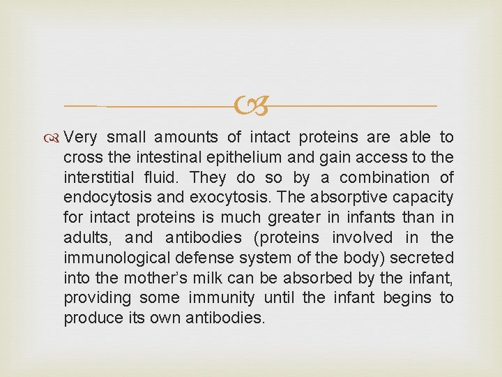 Very small amounts of intact proteins are able to cross the intestinal epithelium