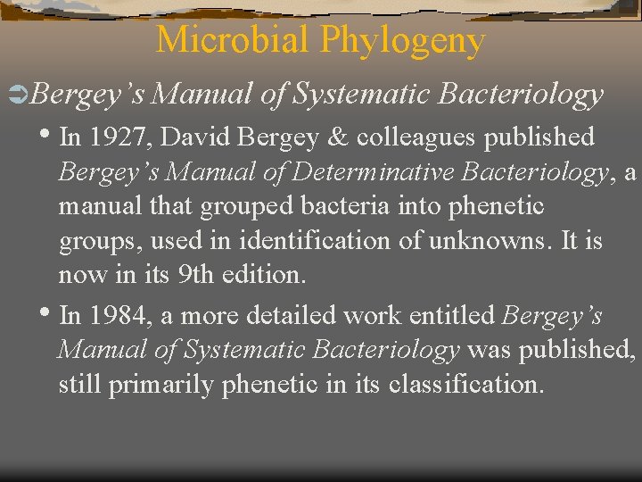 Microbial Phylogeny Ü Bergey’s Manual of Systematic Bacteriology • In 1927, David Bergey &