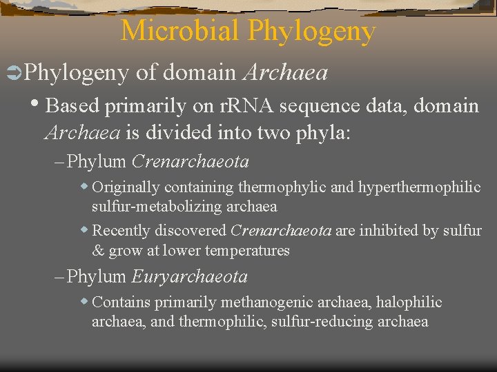 Microbial Phylogeny Ü Phylogeny of domain Archaea • Based primarily on r. RNA sequence