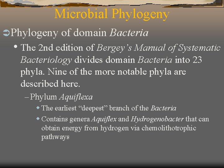Microbial Phylogeny Ü Phylogeny of domain Bacteria • The 2 nd edition of Bergey’s