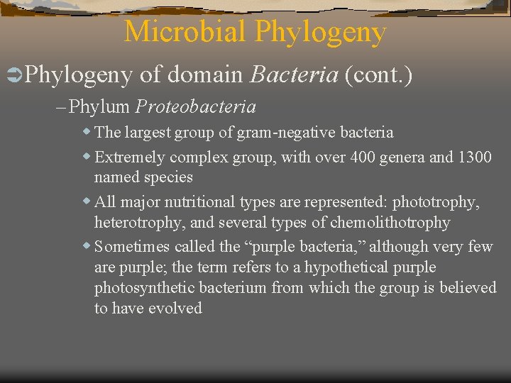 Microbial Phylogeny Ü Phylogeny of domain Bacteria – Phylum Proteobacteria (cont. ) w The