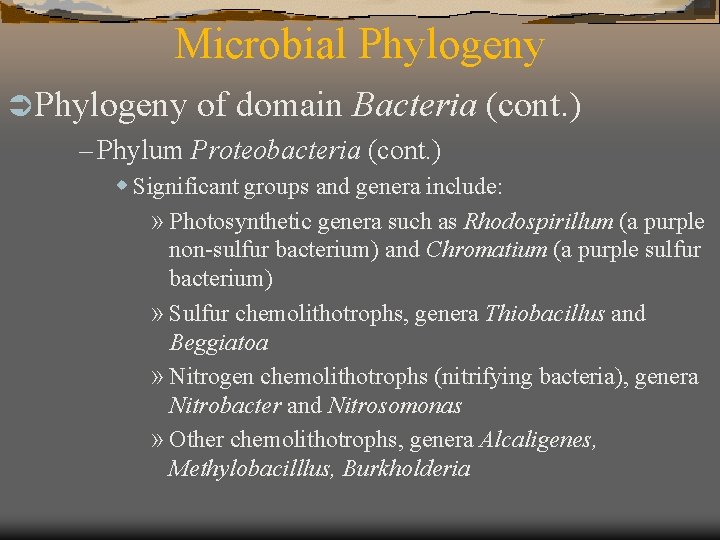 Microbial Phylogeny Ü Phylogeny of domain Bacteria – Phylum Proteobacteria (cont. ) w Significant
