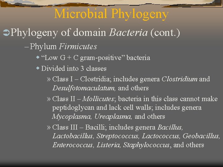 Microbial Phylogeny Ü Phylogeny of domain – Phylum Firmicutes Bacteria (cont. ) w “Low
