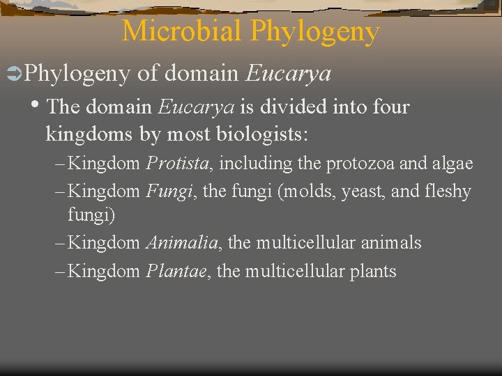 Microbial Phylogeny Ü Phylogeny of domain Eucarya • The domain Eucarya is divided into