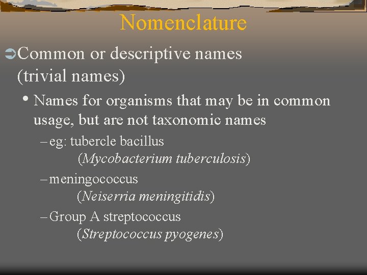 Nomenclature Ü Common or descriptive names (trivial names) • Names for organisms that may
