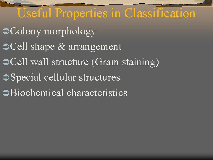 Useful Properties in Classification Ü Colony morphology Ü Cell shape & arrangement Ü Cell