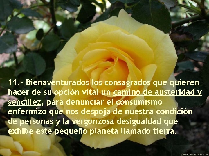 11. - Bienaventurados los consagrados que quieren hacer de su opción vital un camino