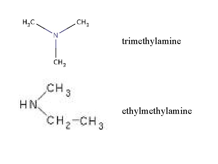 trimethylamine ethylmethylamine 