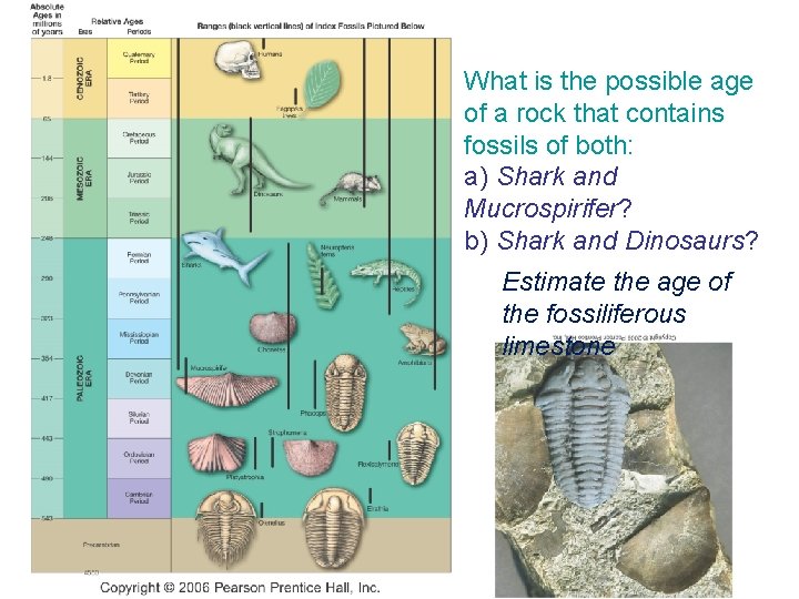 What is the possible age of a rock that contains fossils of both: a)