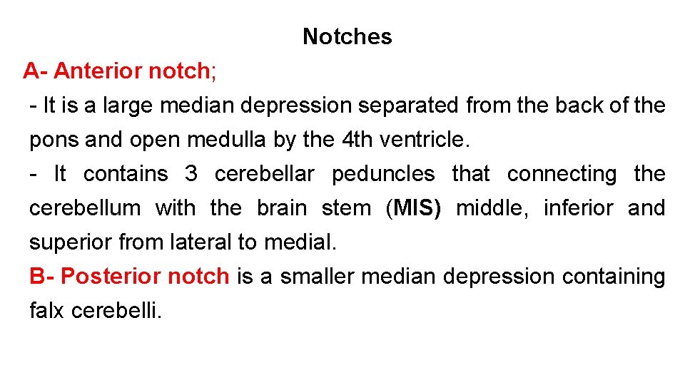 Notches A- Anterior notch; - It is a large median depression separated from the