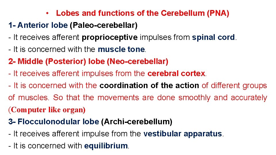  • Lobes and functions of the Cerebellum (PNA) 1 - Anterior lobe (Pa.