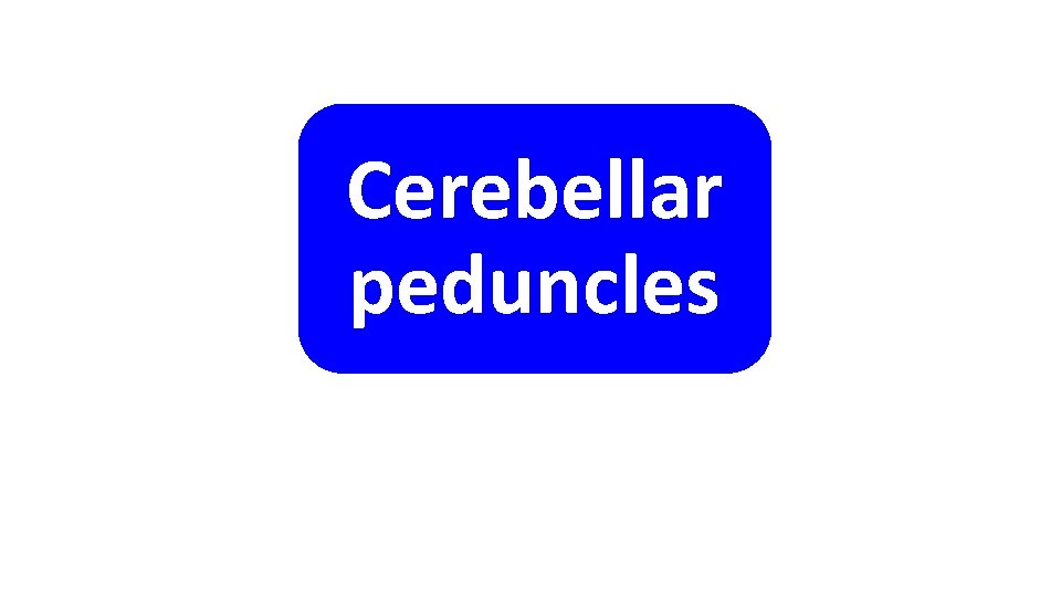 Cerebellar peduncles 