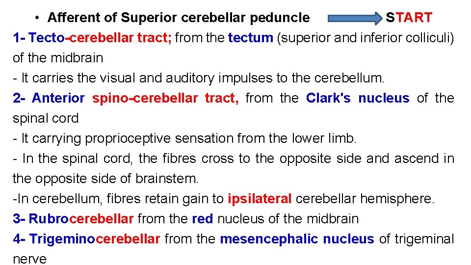  • Afferent of Superior cerebellar peduncle START 1 - Tecto-cerebellar tract; from the