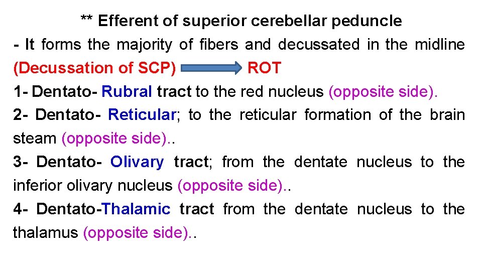 ** Efferent of superior cerebellar peduncle - It forms the majority of fibers and