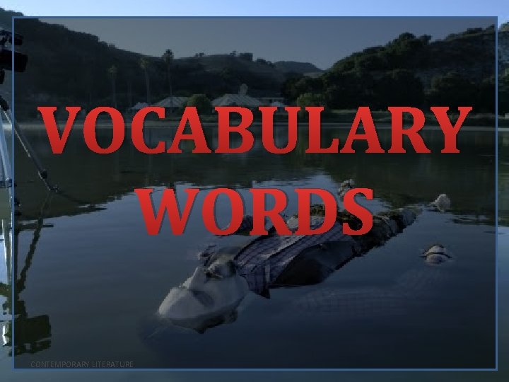 VOCABULARY WORDS CONTEMPORARY LITERATURE 
