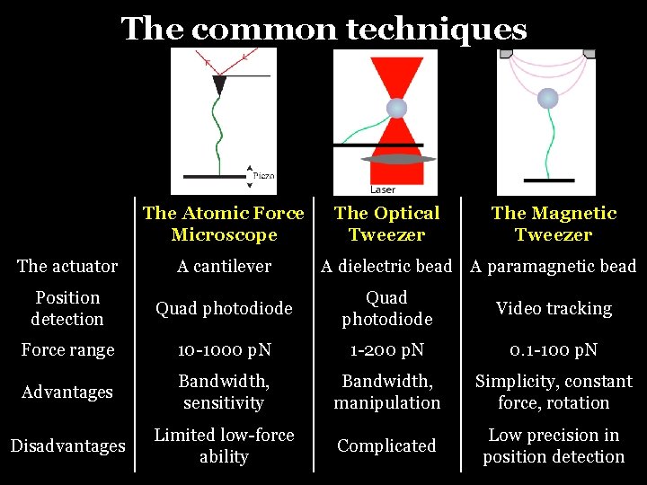 The common techniques The Atomic Force Microscope The Optical Tweezer The Magnetic Tweezer The