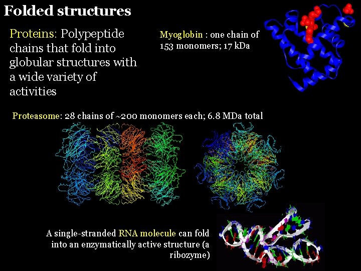 Folded structures Proteins: Polypeptide chains that fold into globular structures with a wide variety