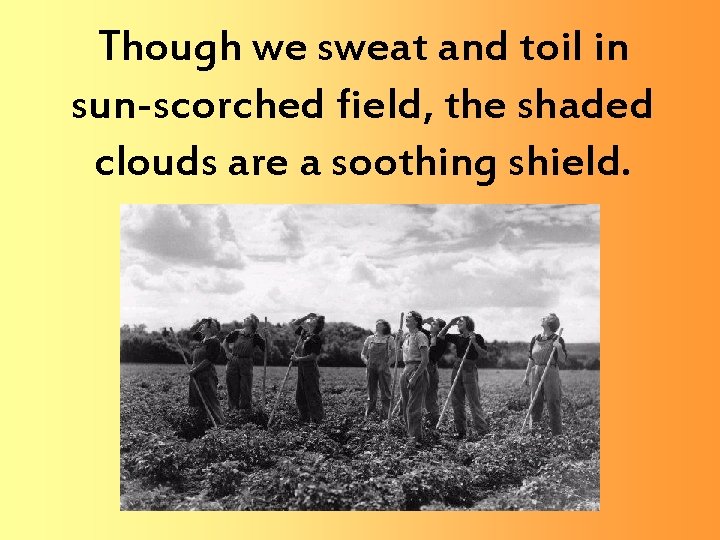 Though we sweat and toil in sun-scorched field, the shaded clouds are a soothing