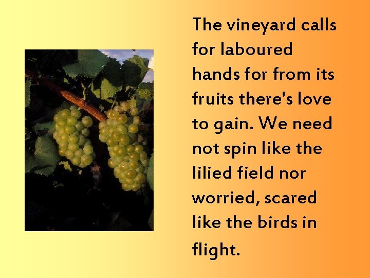 The vineyard calls for laboured hands for from its fruits there's love to gain.