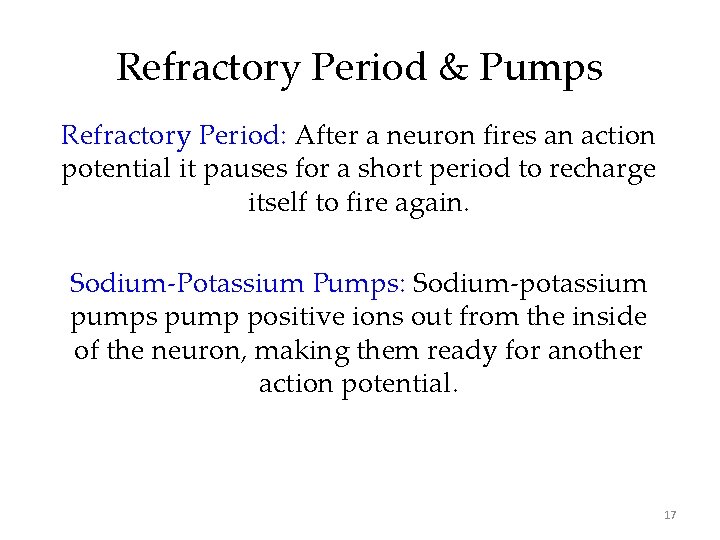 Refractory Period & Pumps Refractory Period: After a neuron fires an action potential it