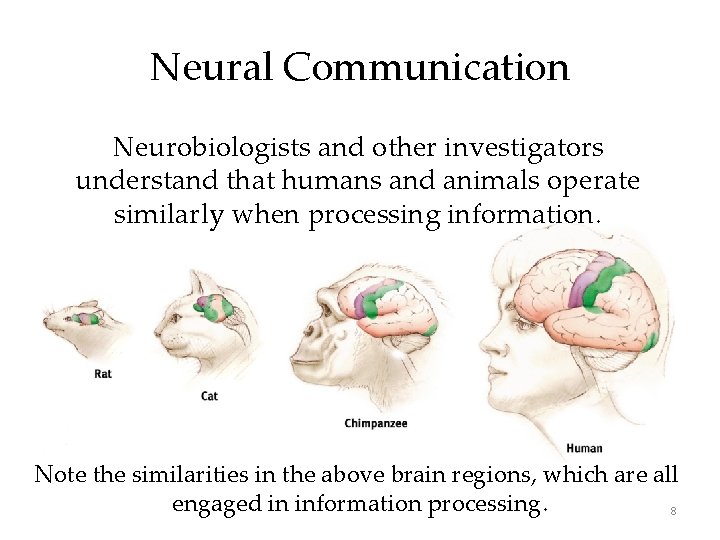 Neural Communication Neurobiologists and other investigators understand that humans and animals operate similarly when