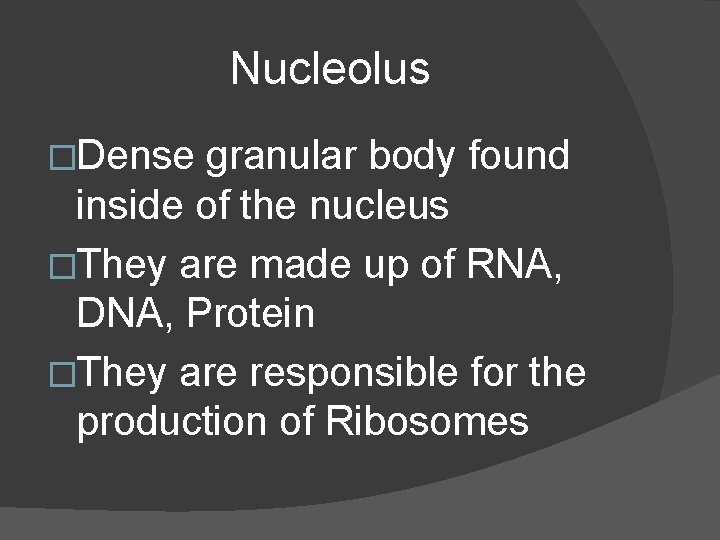 Nucleolus �Dense granular body found inside of the nucleus �They are made up of