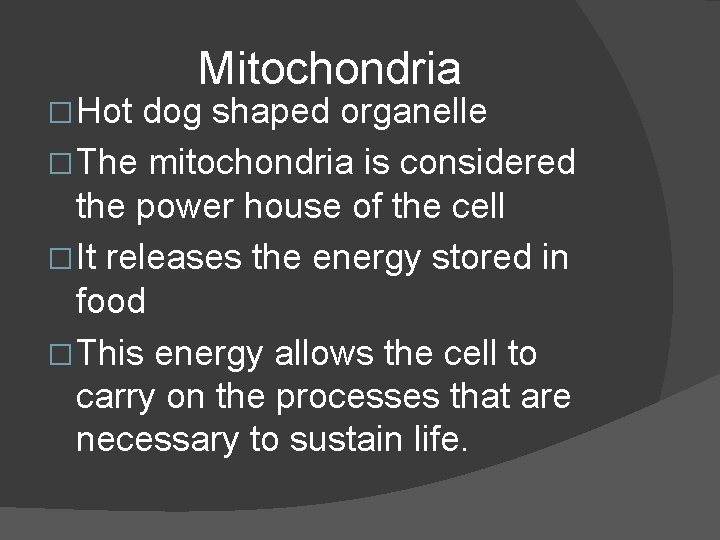 � Hot Mitochondria dog shaped organelle � The mitochondria is considered the power house