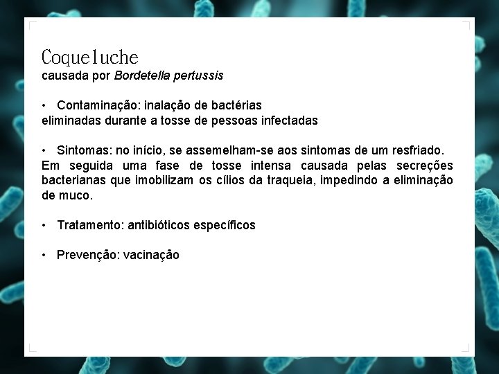 Coqueluche causada por Bordetella pertussis • Contaminação: inalação de bactérias eliminadas durante a tosse